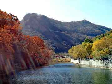 新澳天天开奖资料大全旅游团，烘干线